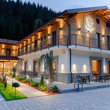 Hotel Ina Borşa Exterior foto