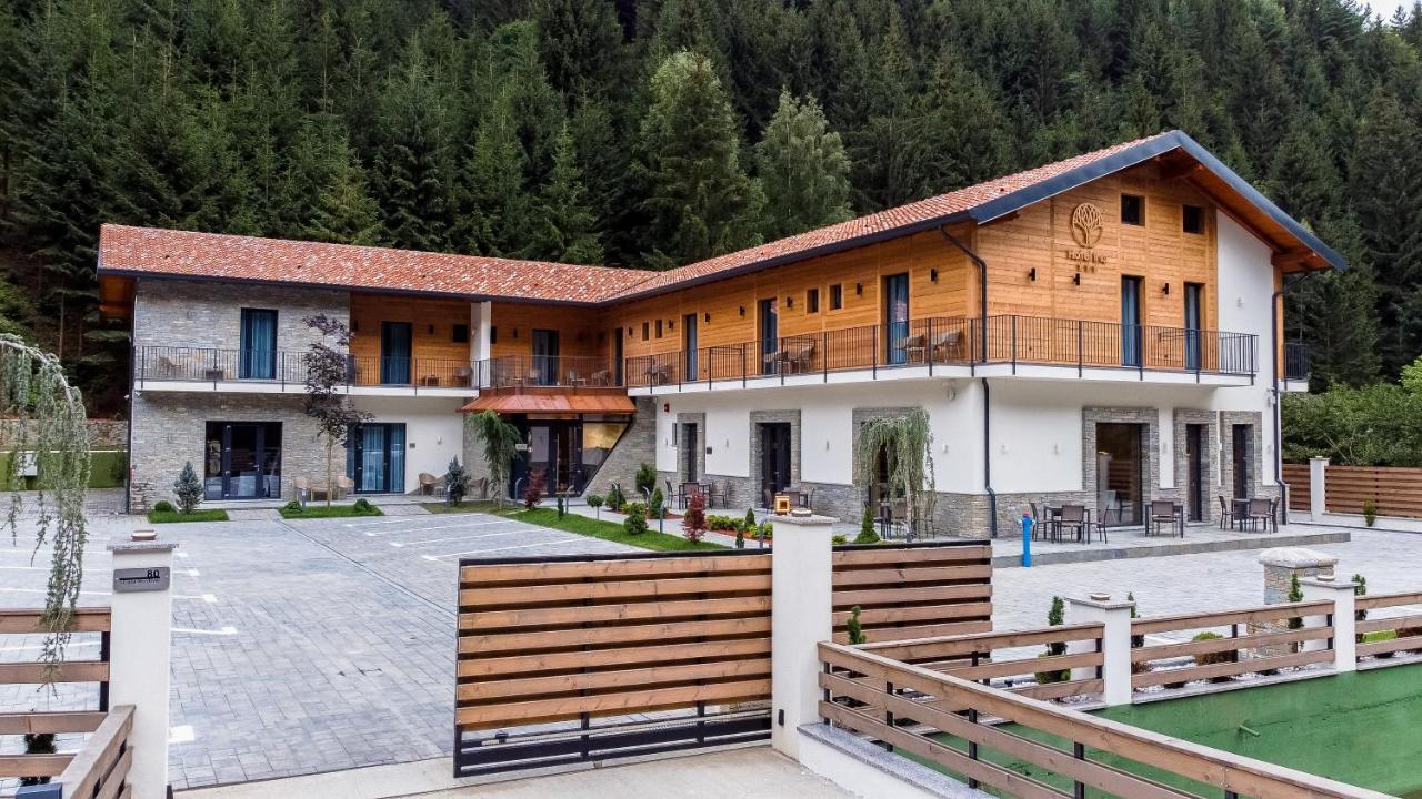 Hotel Ina Borşa Exterior foto