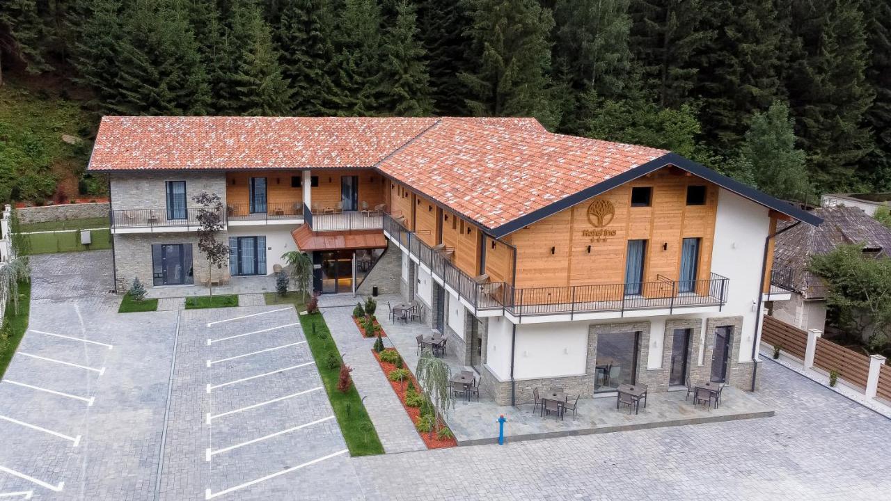 Hotel Ina Borşa Exterior foto